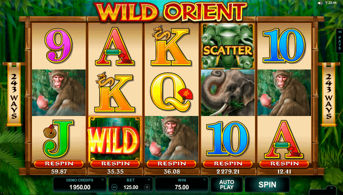 Online Casino - 66141
