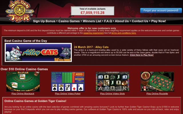 Bonus Casino - 50285