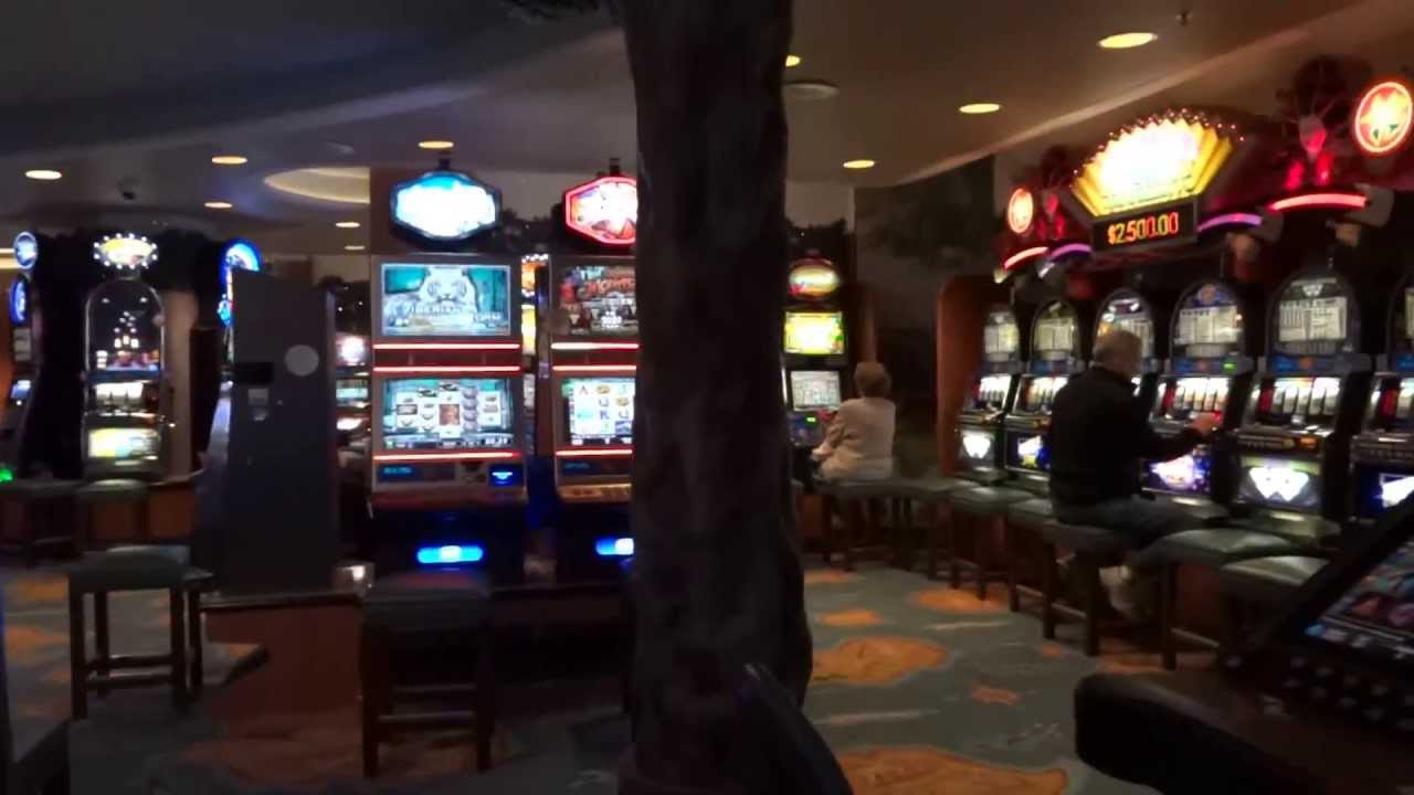 Casino Cruise Erfahrung Grand - 9725